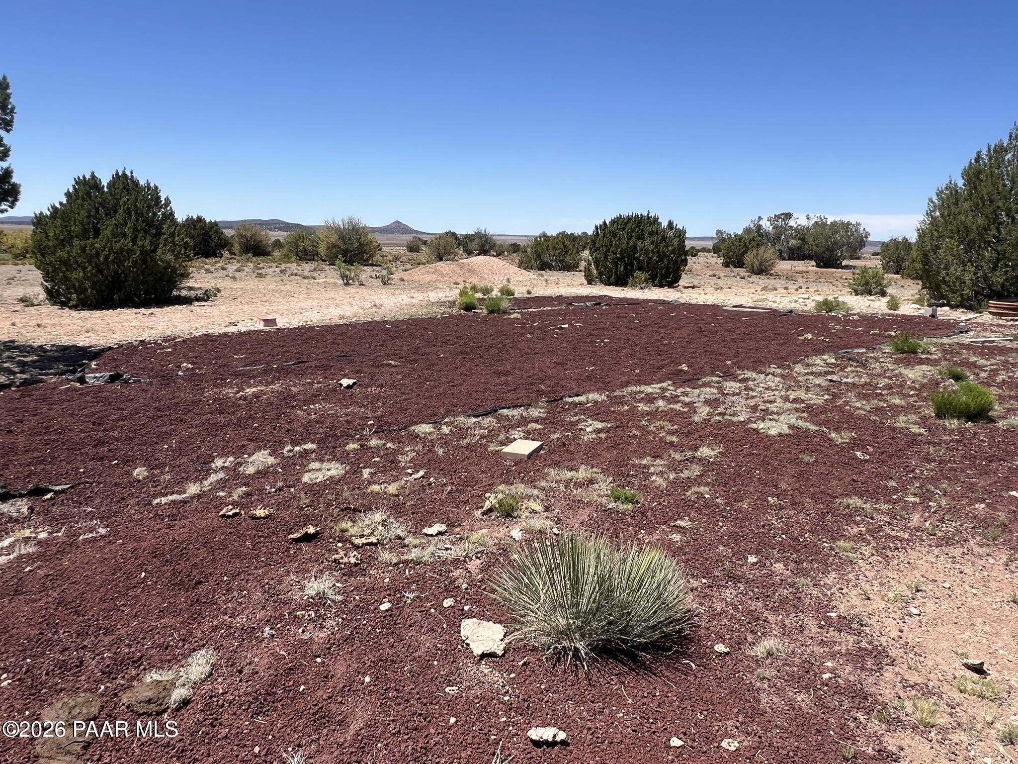 981 Wrangler Ridge Road Seligman, AZ 86337 - Photo 8 of 16 IMG_0069
