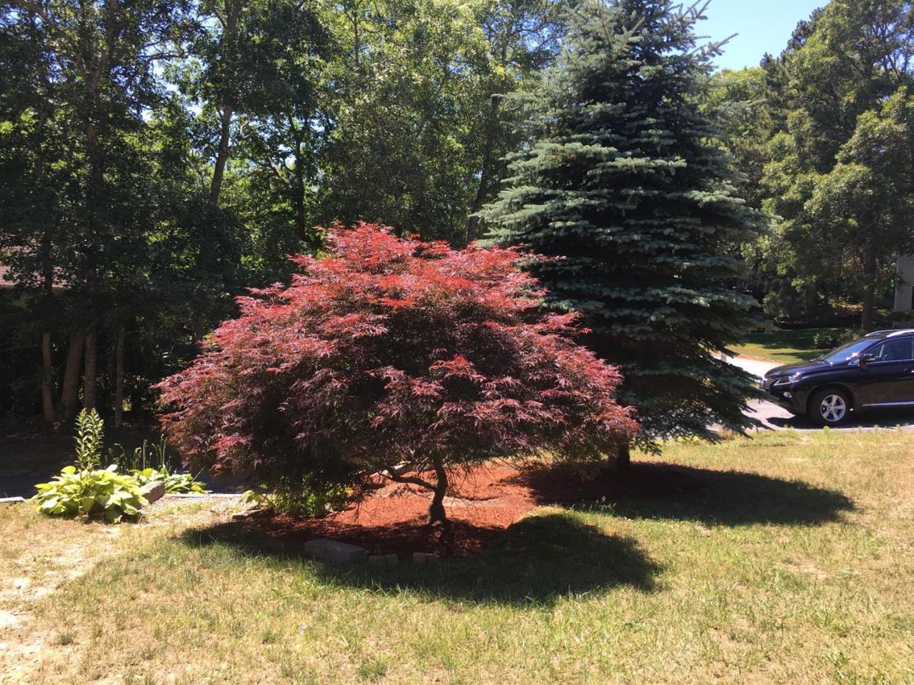8 Hillside Road Forestdale, MA 02644 - Photo 19 of 31 Additional Photo