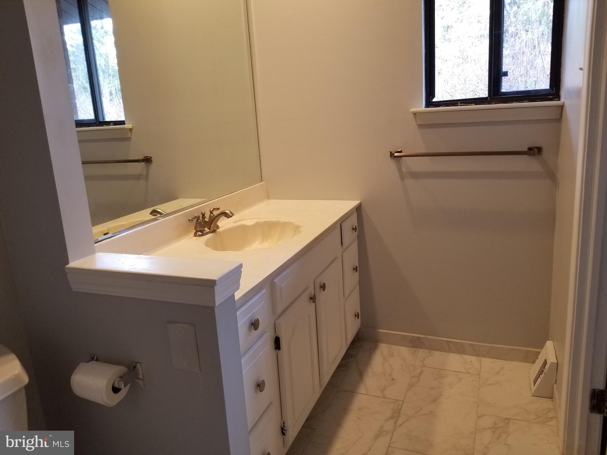 1005 Worthington Drive Exton, PA 19341 - Photo 18 of 23 a bathroom with a sink a vanity and a mirror
