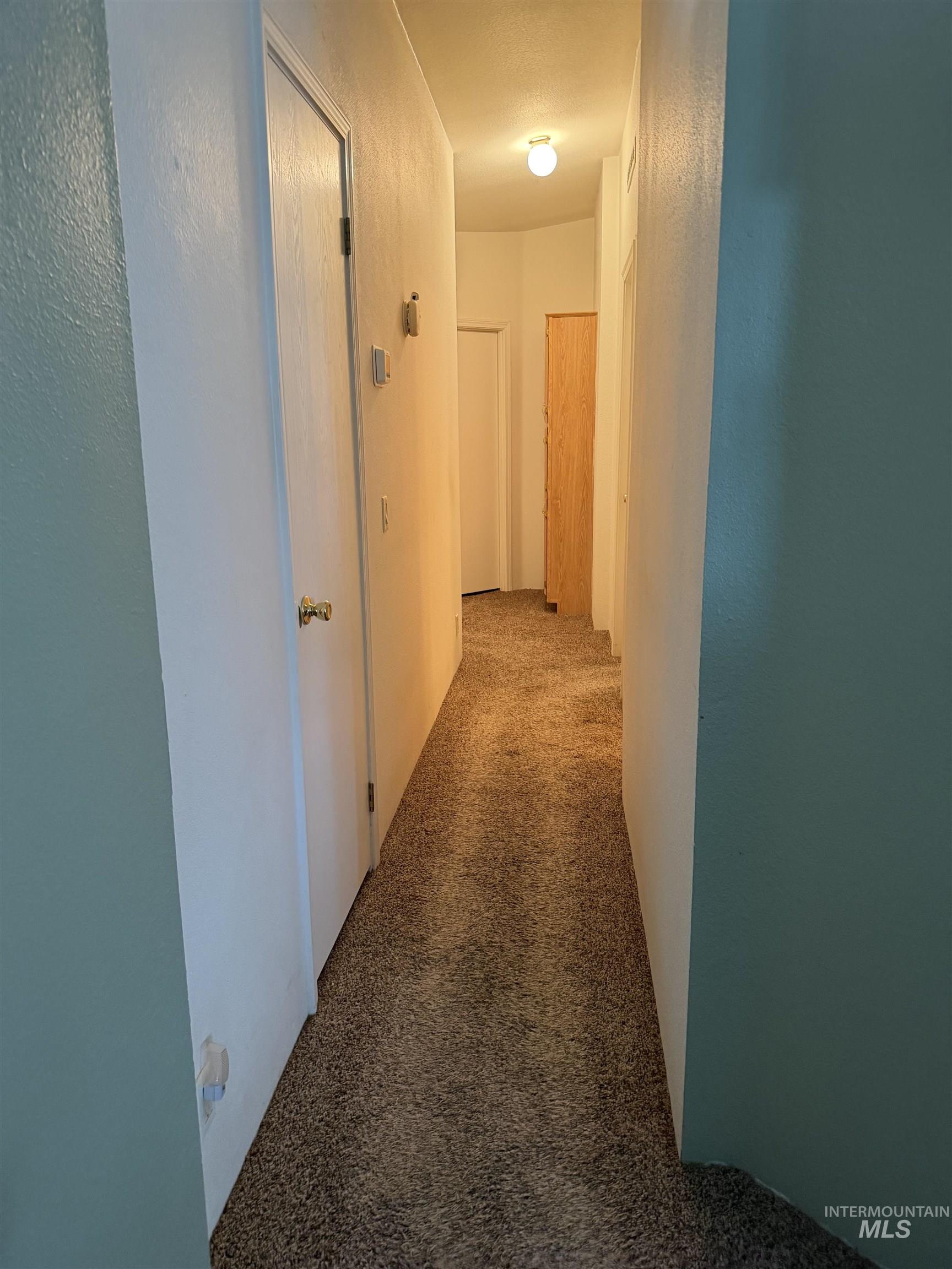 151 Quicksilver Avenue Hagerman, ID 83332 - Photo 9 of 30