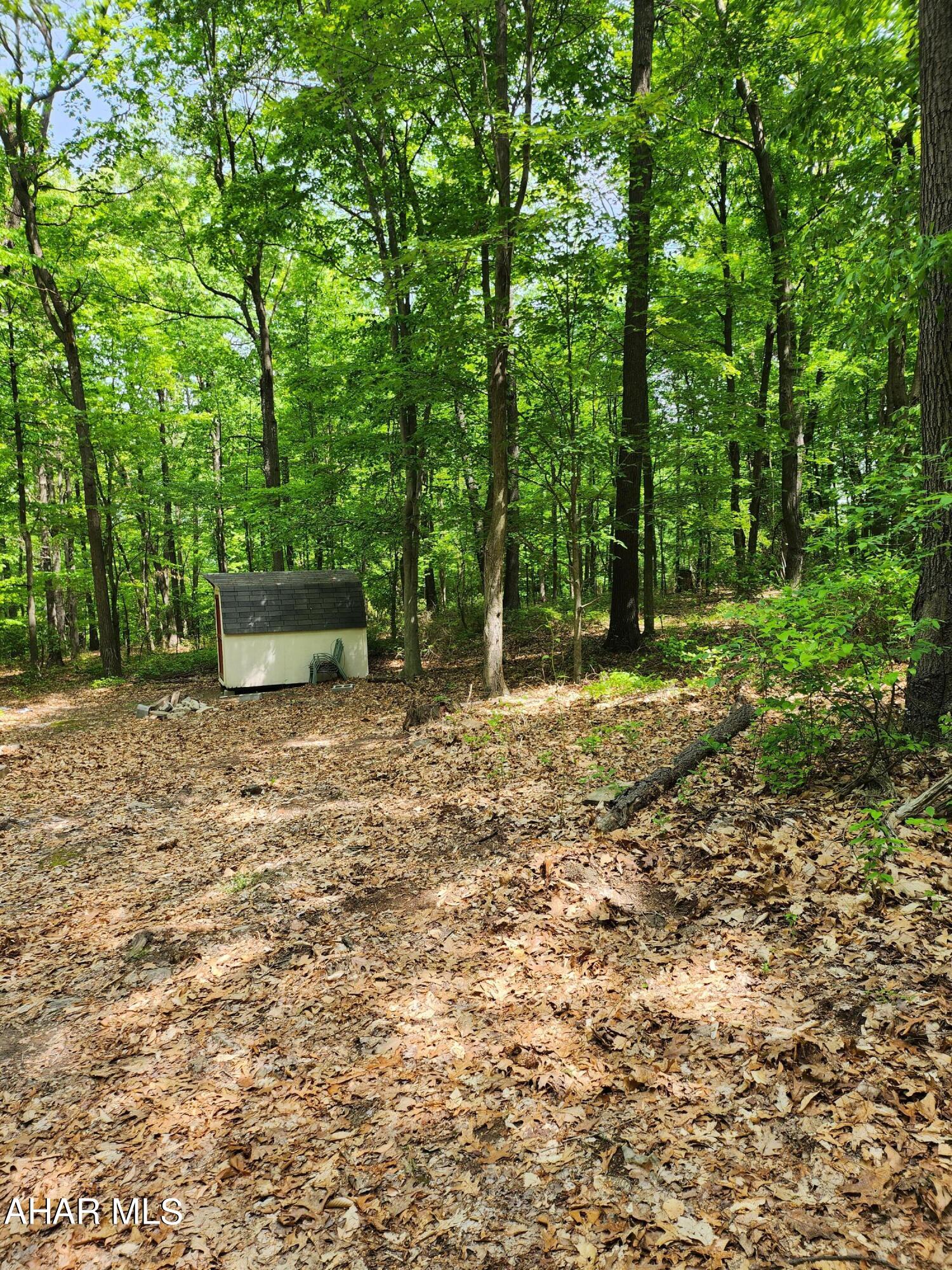 0 Mosquito Hollow Road Six Mile Run, PA 16679 - Photo 16 of 29