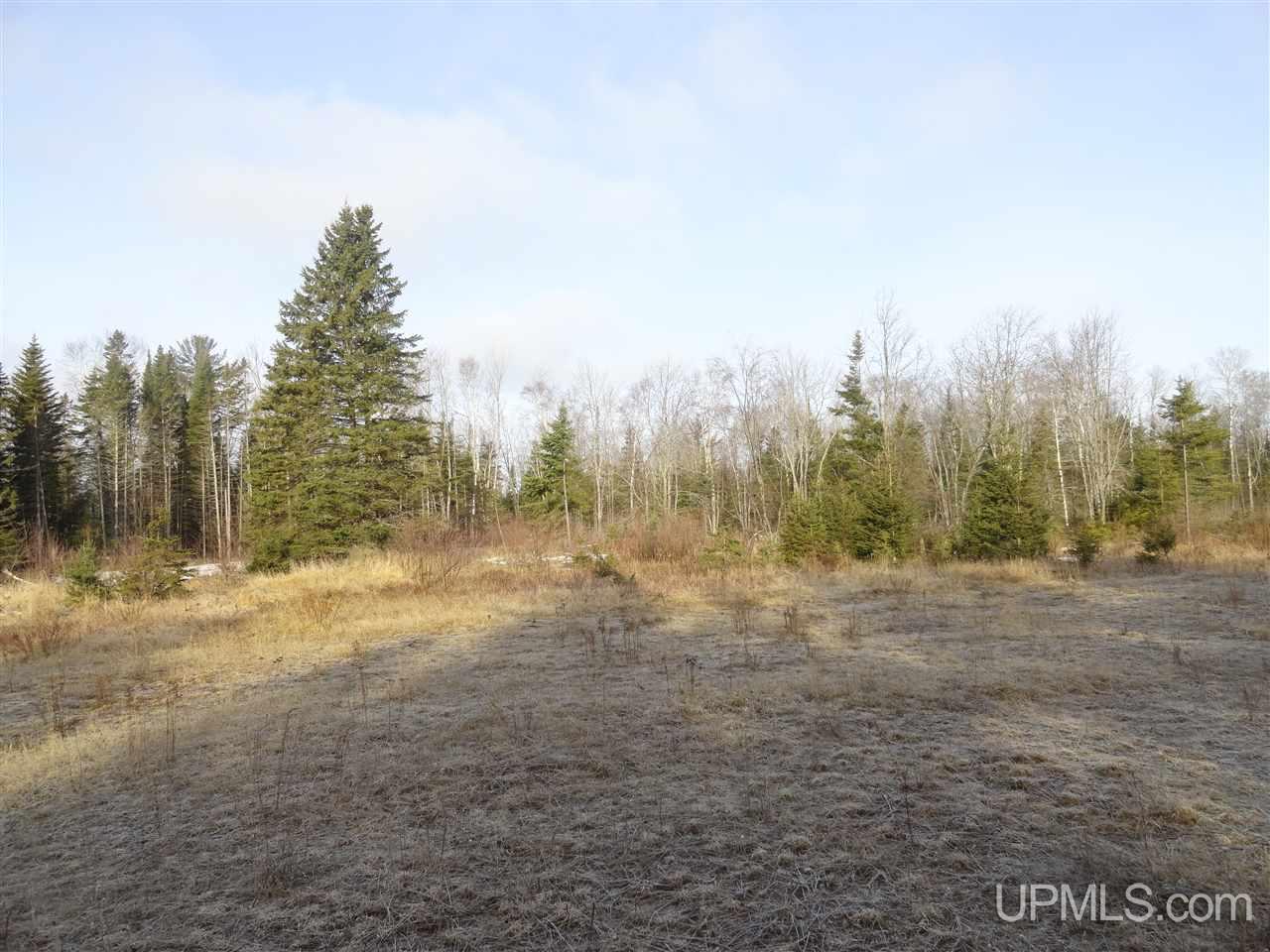116-acres 116-acres Co Road Negaunee, MI 49866 - Photo 8 of 37