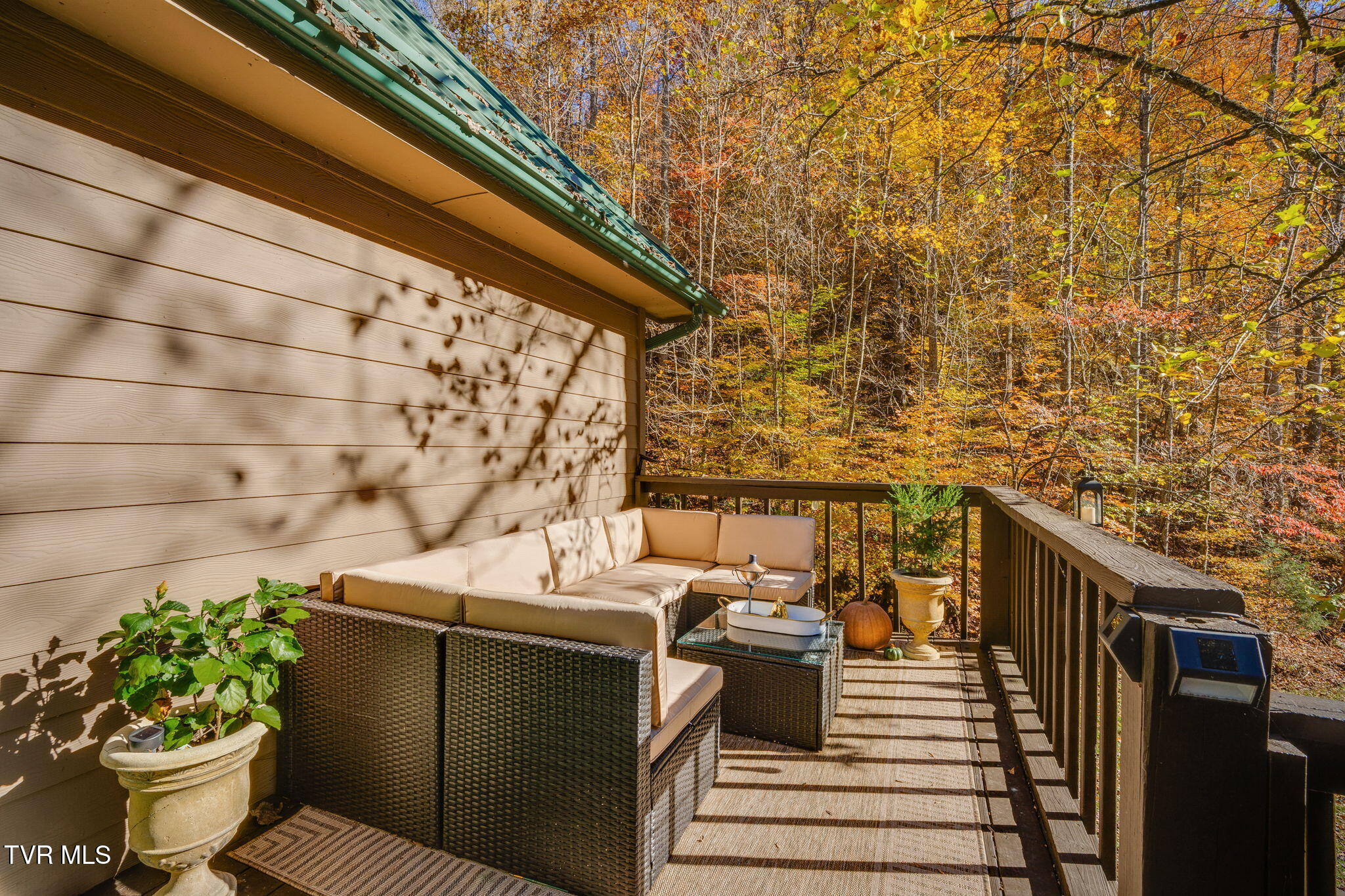 1370 Hickory Cove Road Rogersville, TN 37857 - Photo 27 of 65 038