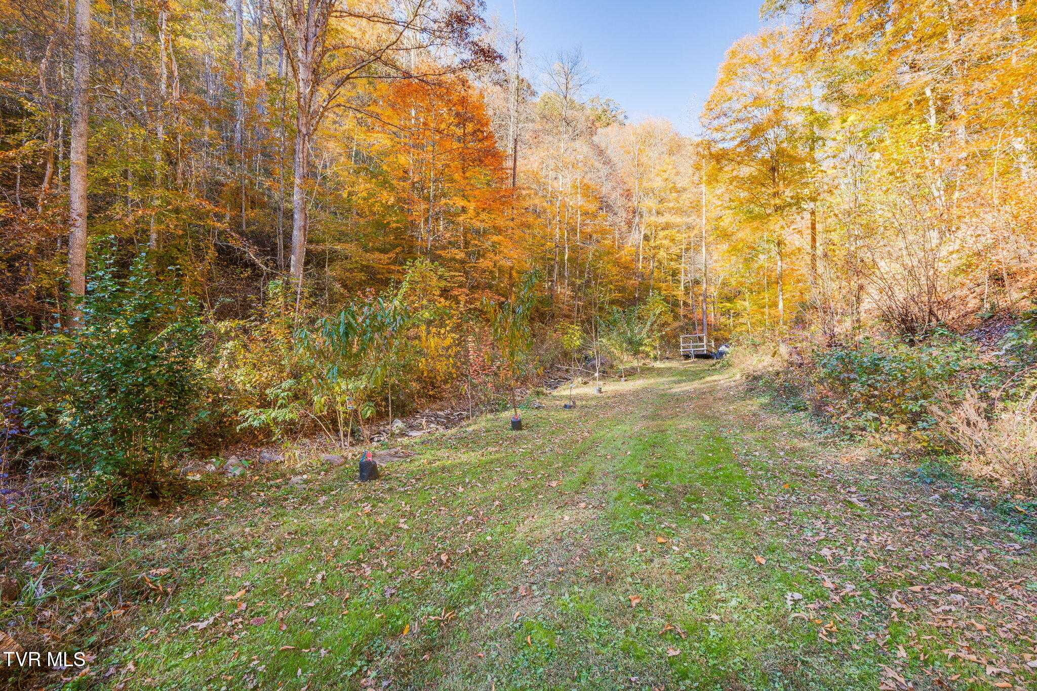 1370 Hickory Cove Road Rogersville, TN 37857 - Photo 38 of 65 033