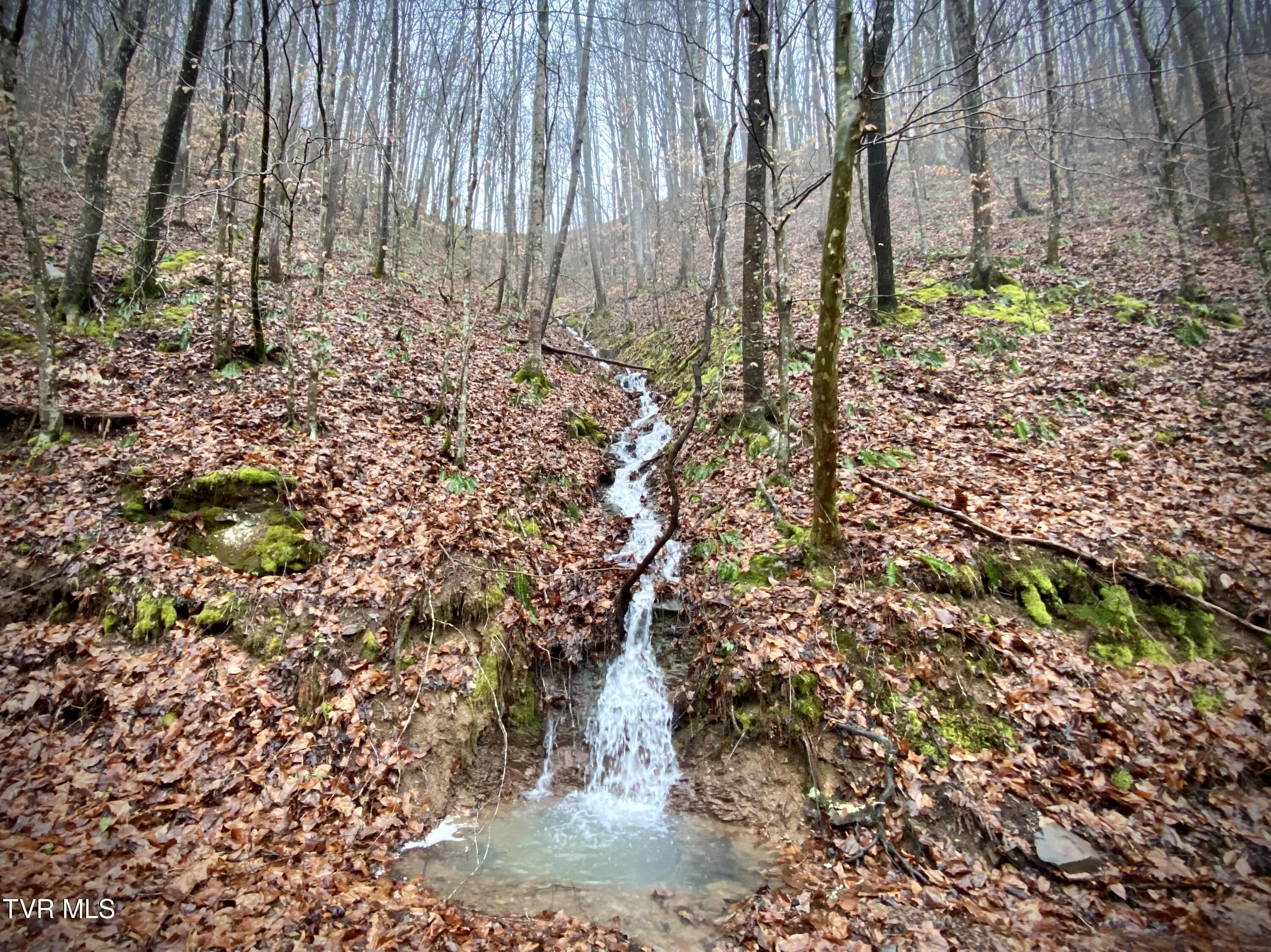 1370 Hickory Cove Road Rogersville, TN 37857 - Photo 40 of 65 IMG_3414