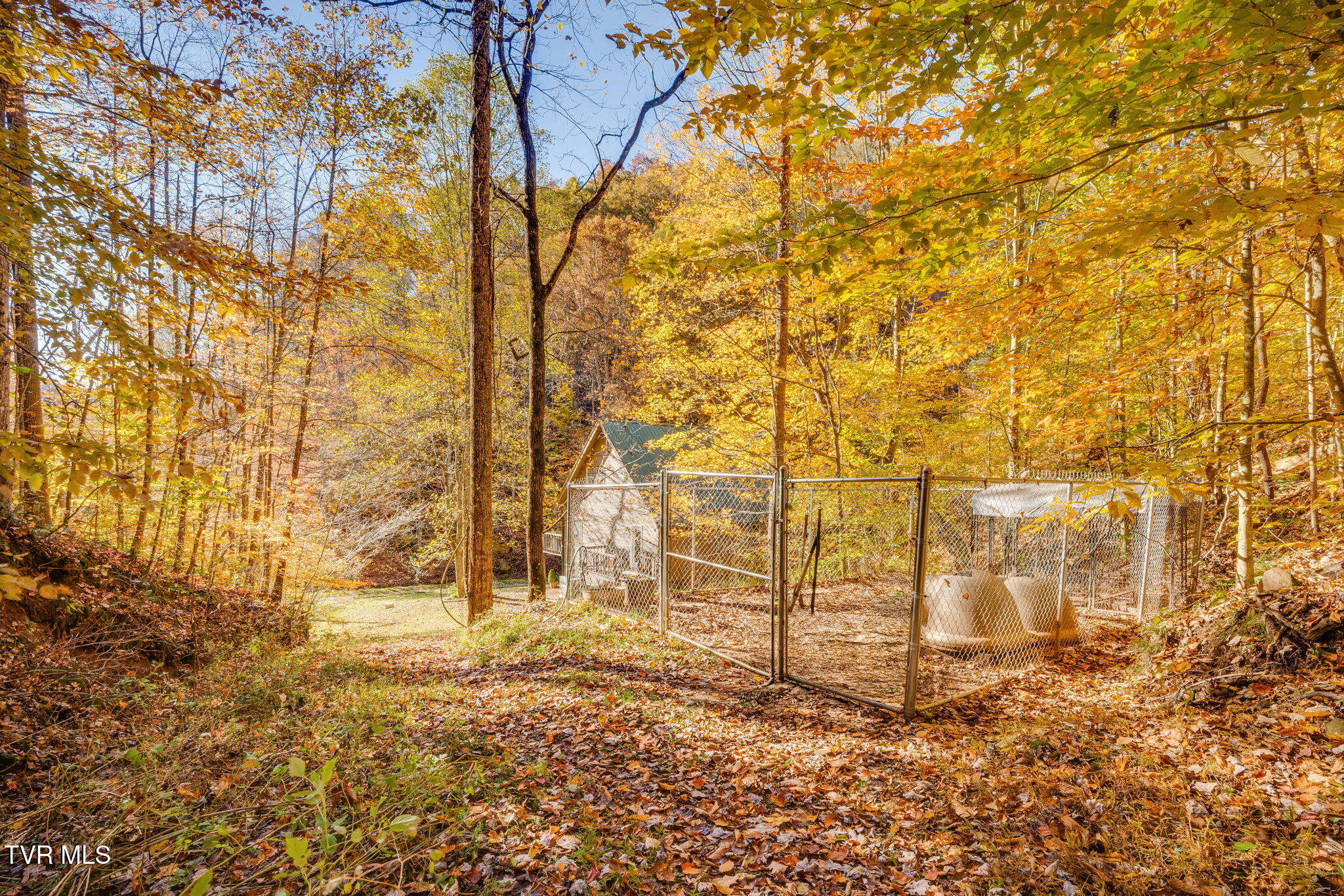 1370 Hickory Cove Road Rogersville, TN 37857 - Photo 42 of 65 041