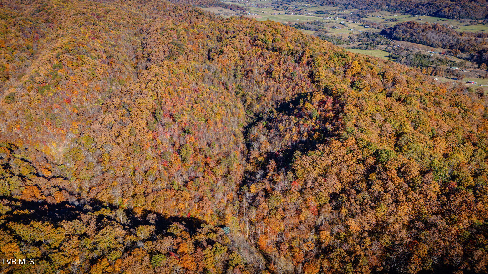 1370 Hickory Cove Road Rogersville, TN 37857 - Photo 45 of 65 101