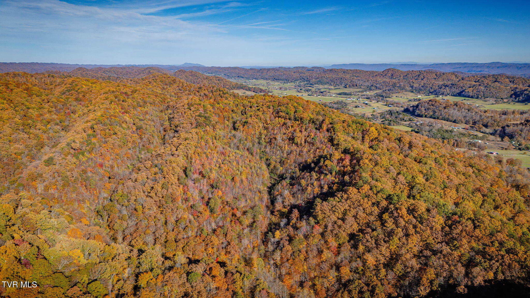 1370 Hickory Cove Road Rogersville, TN 37857 - Photo 46 of 65 102