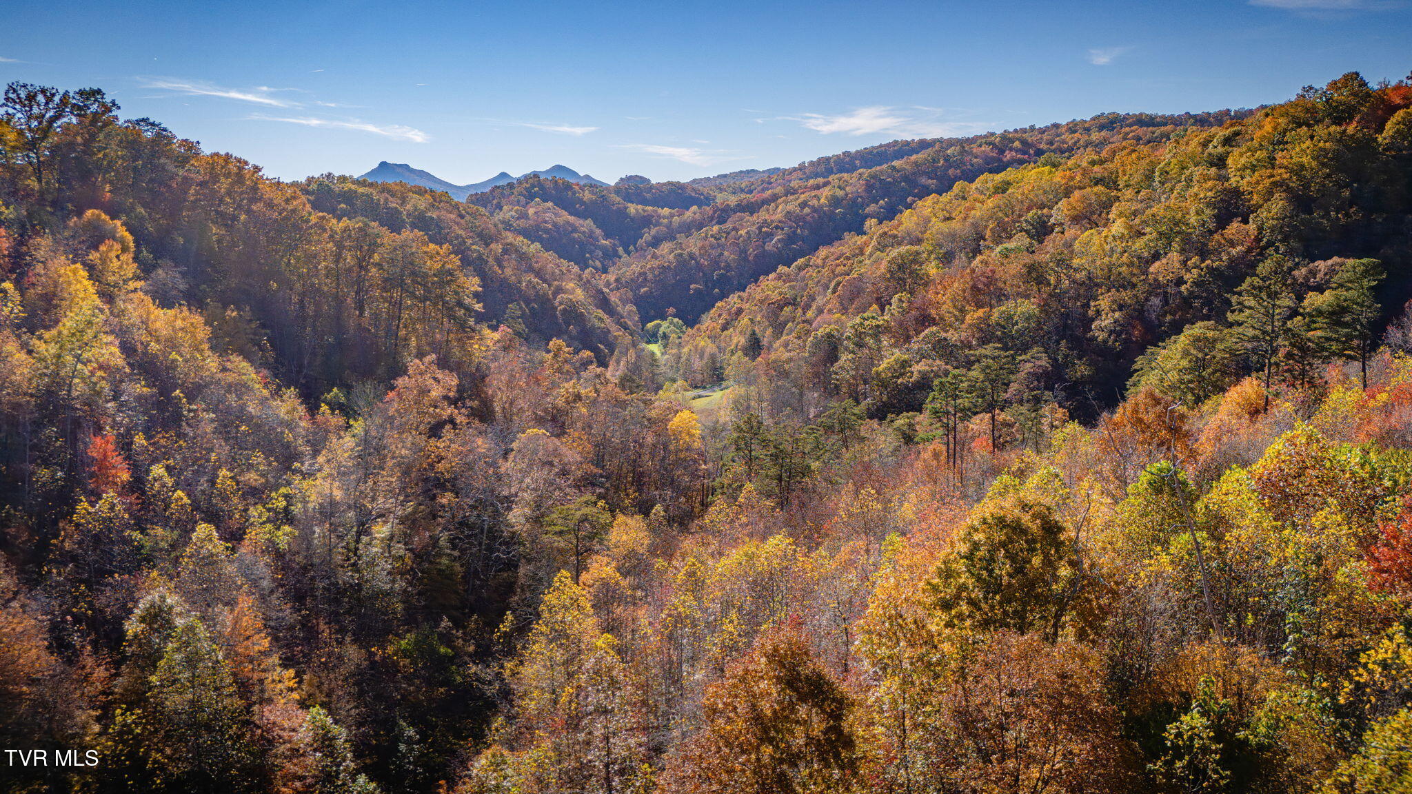 1370 Hickory Cove Road Rogersville, TN 37857 - Photo 49 of 65 106