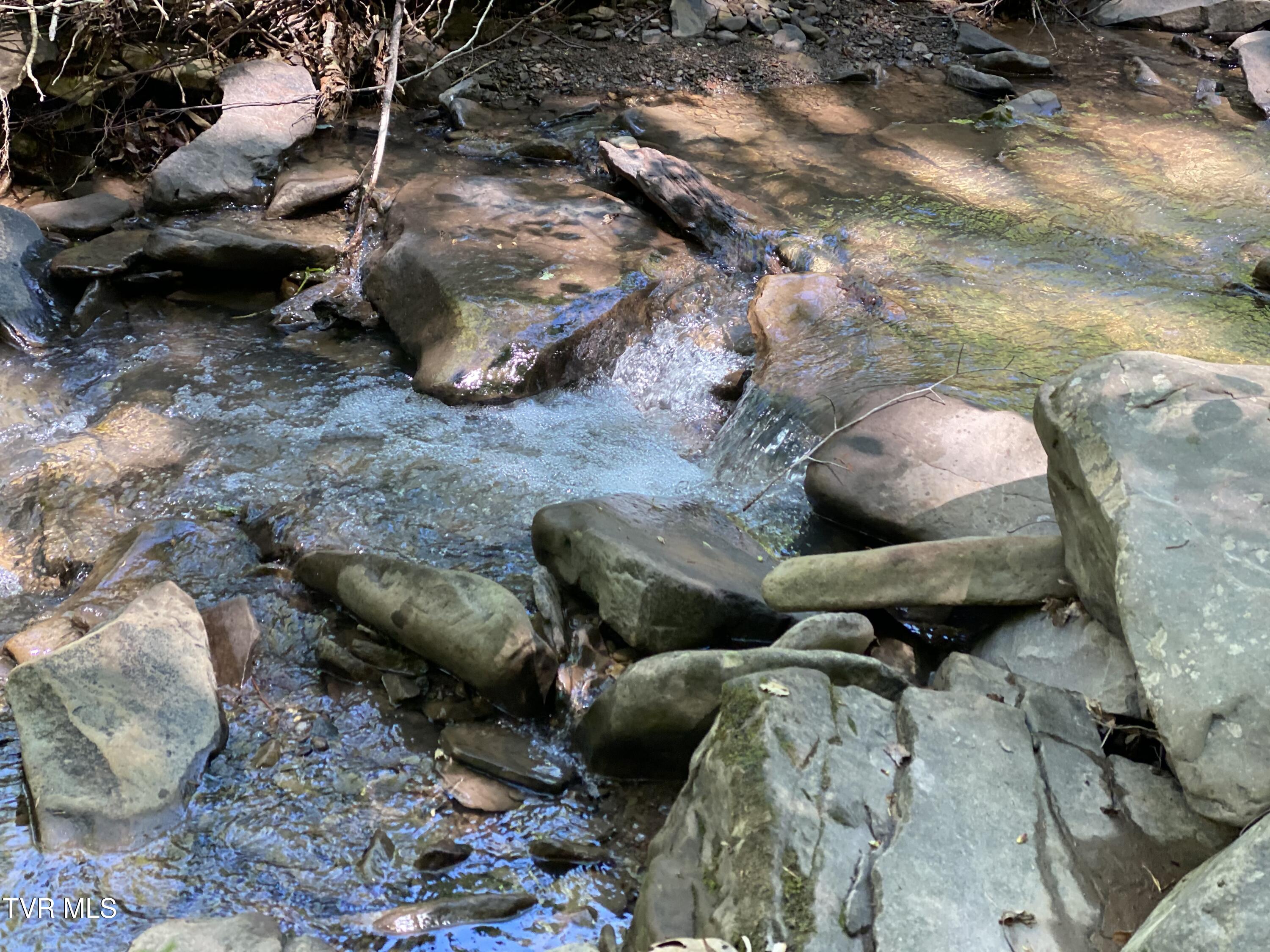 1370 Hickory Cove Road Rogersville, TN 37857 - Photo 60 of 65 IMG_1674