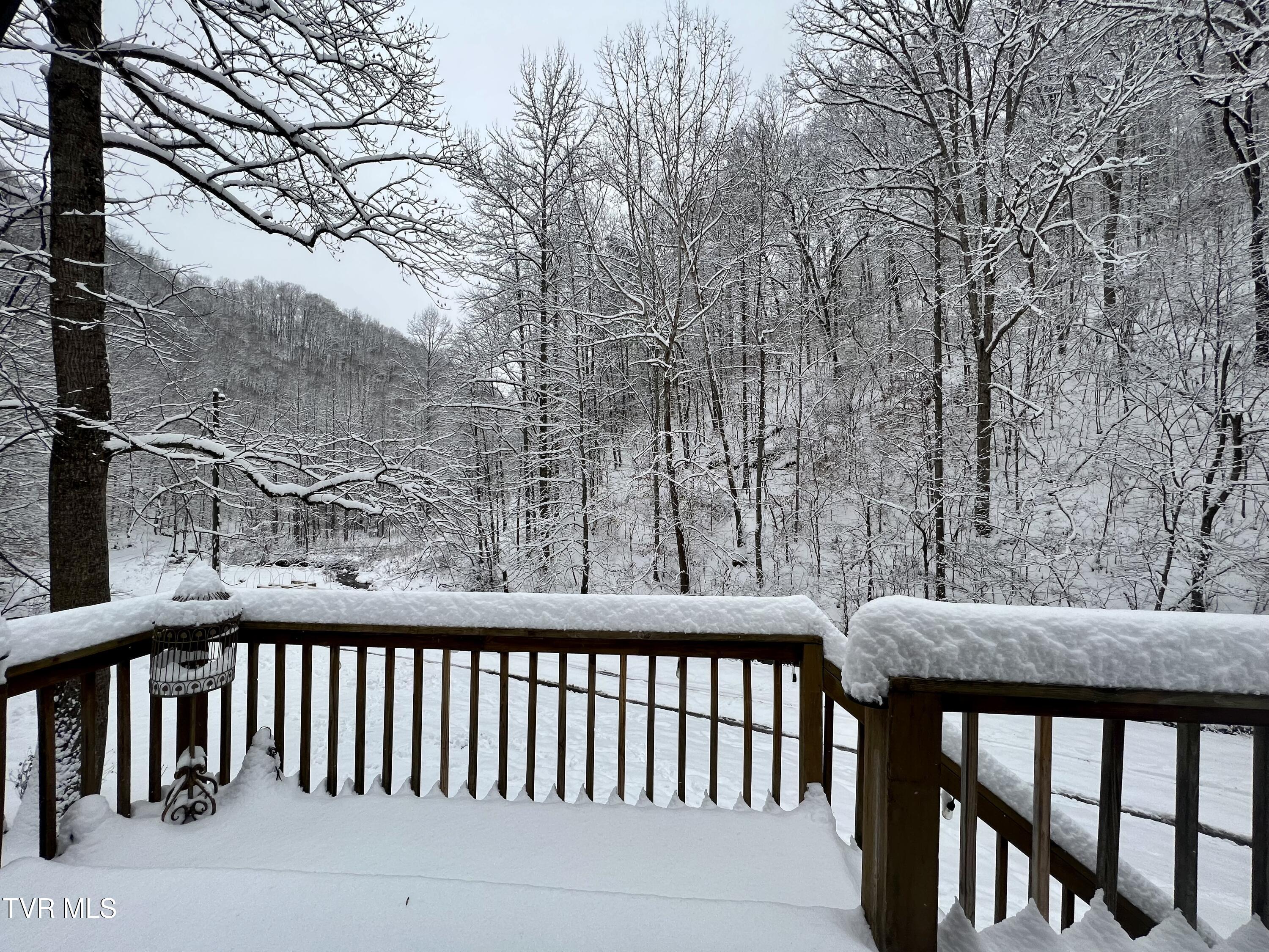 1370 Hickory Cove Road Rogersville, TN 37857 - Photo 65 of 65 IMG_1447