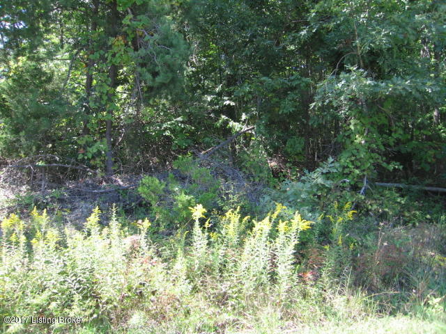 0 Sandy Hill Road Louisville, KY 40229 - Photo 2 of 2 Irregular lot