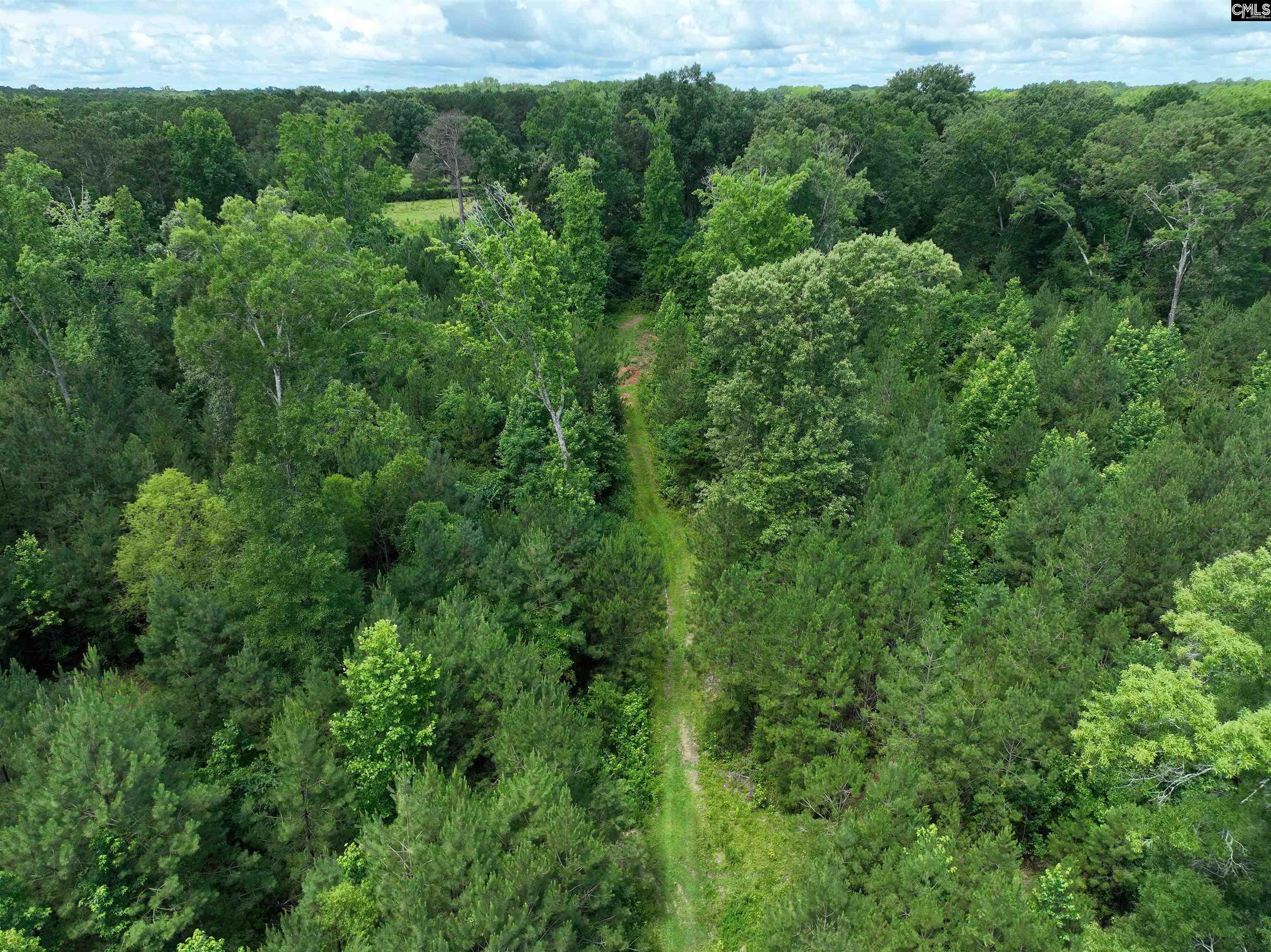 0 Rocky Branch Road Little Mountain, SC 29075 - Photo 23 of 24 an aerial view of a forest with houses