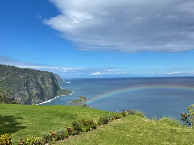 a view of a field with an ocean