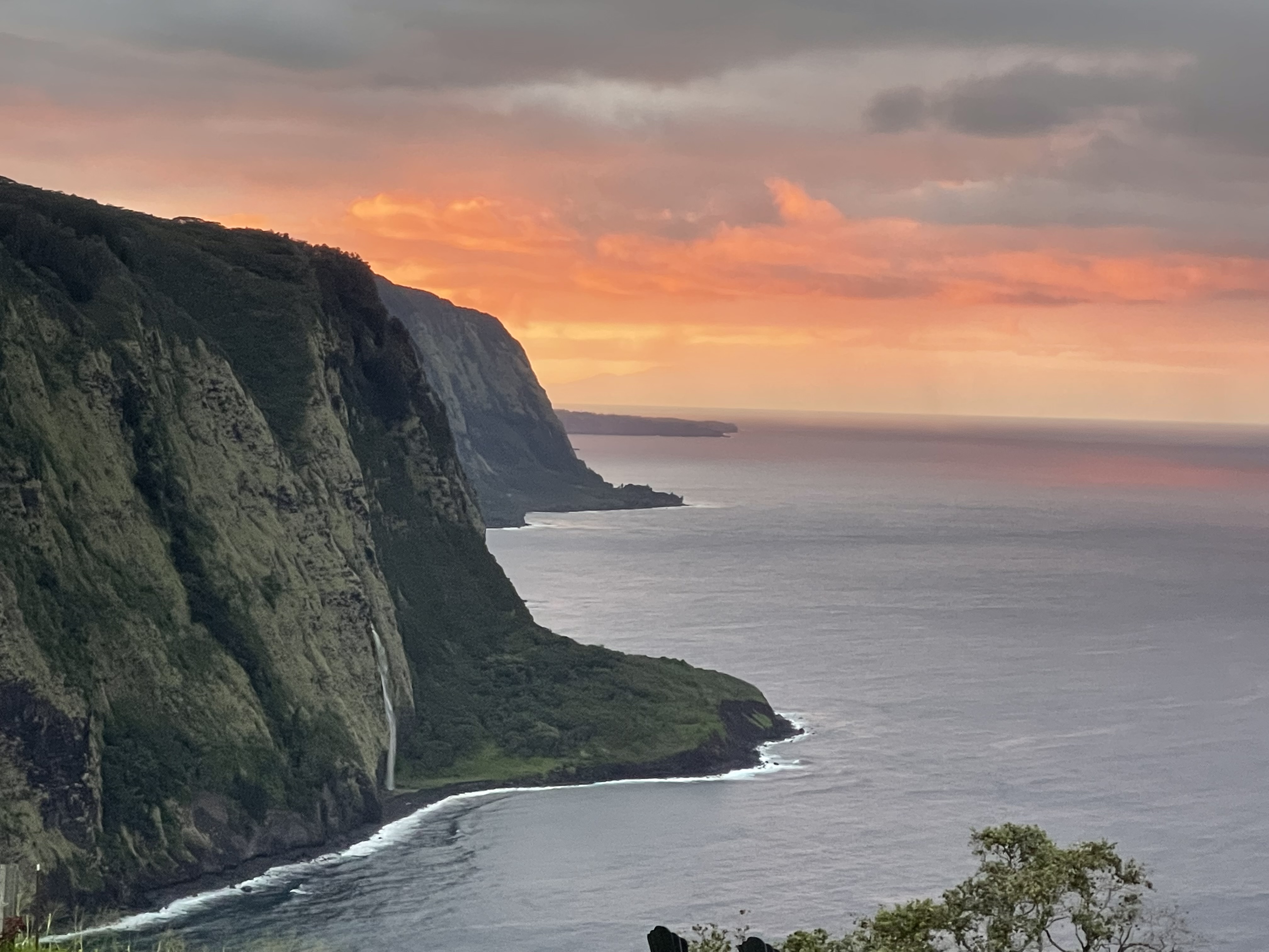 48-5528 Waipio Valley Road Honokaa, HI 96727 - Photo 3 of 18 a view of a yard