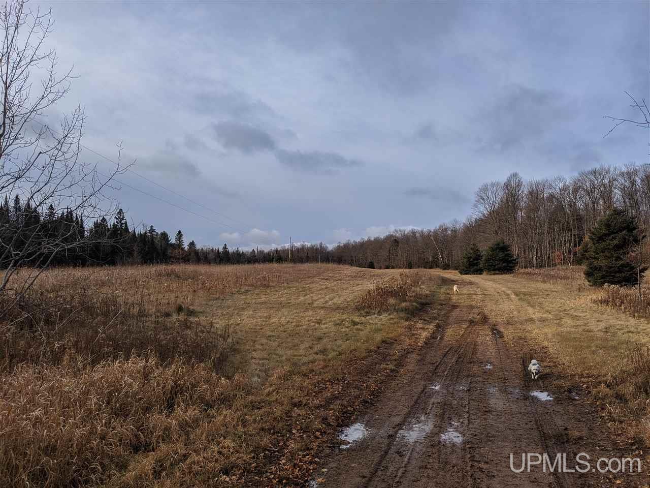11851 Co Road Cornell, MI 49818 - Photo 36 of 49