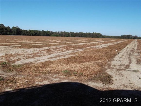 0 Bell Road Farmville, NC 27829 - Photo 3 of 9 Additional Photo