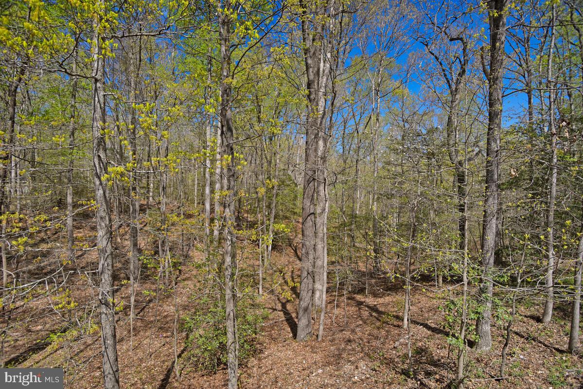 15410 Sorrel Ridge Lane Waldorf, MD 20601 - Photo 38 of 42