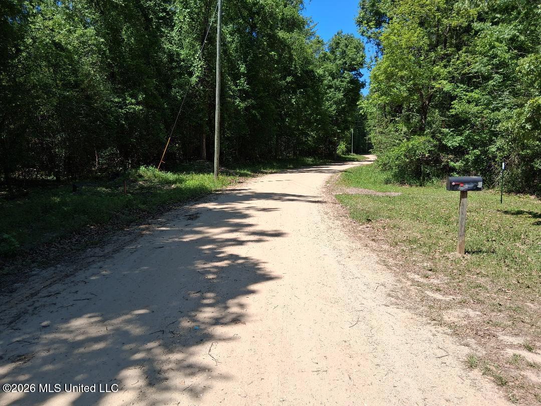 143 Ralph's Drive Leakesville, MS 39451 - Photo 33 of 35 Road View