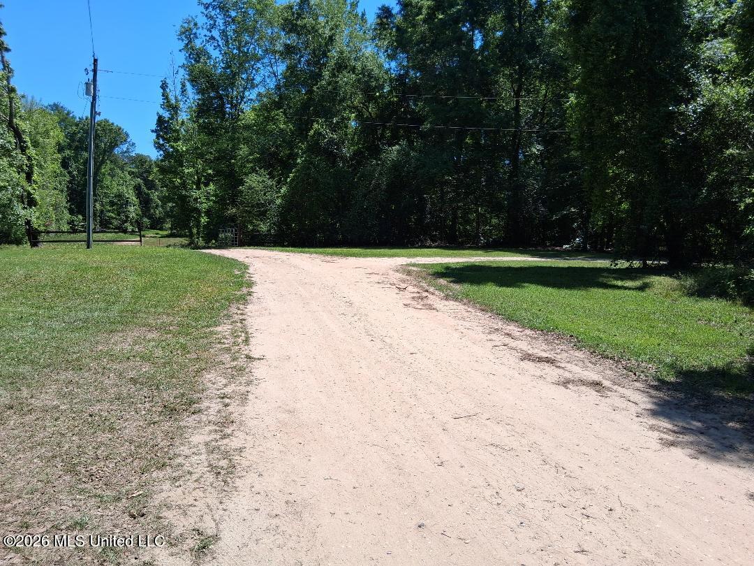 143 Ralph's Drive Leakesville, MS 39451 - Photo 34 of 35 Road View (1)