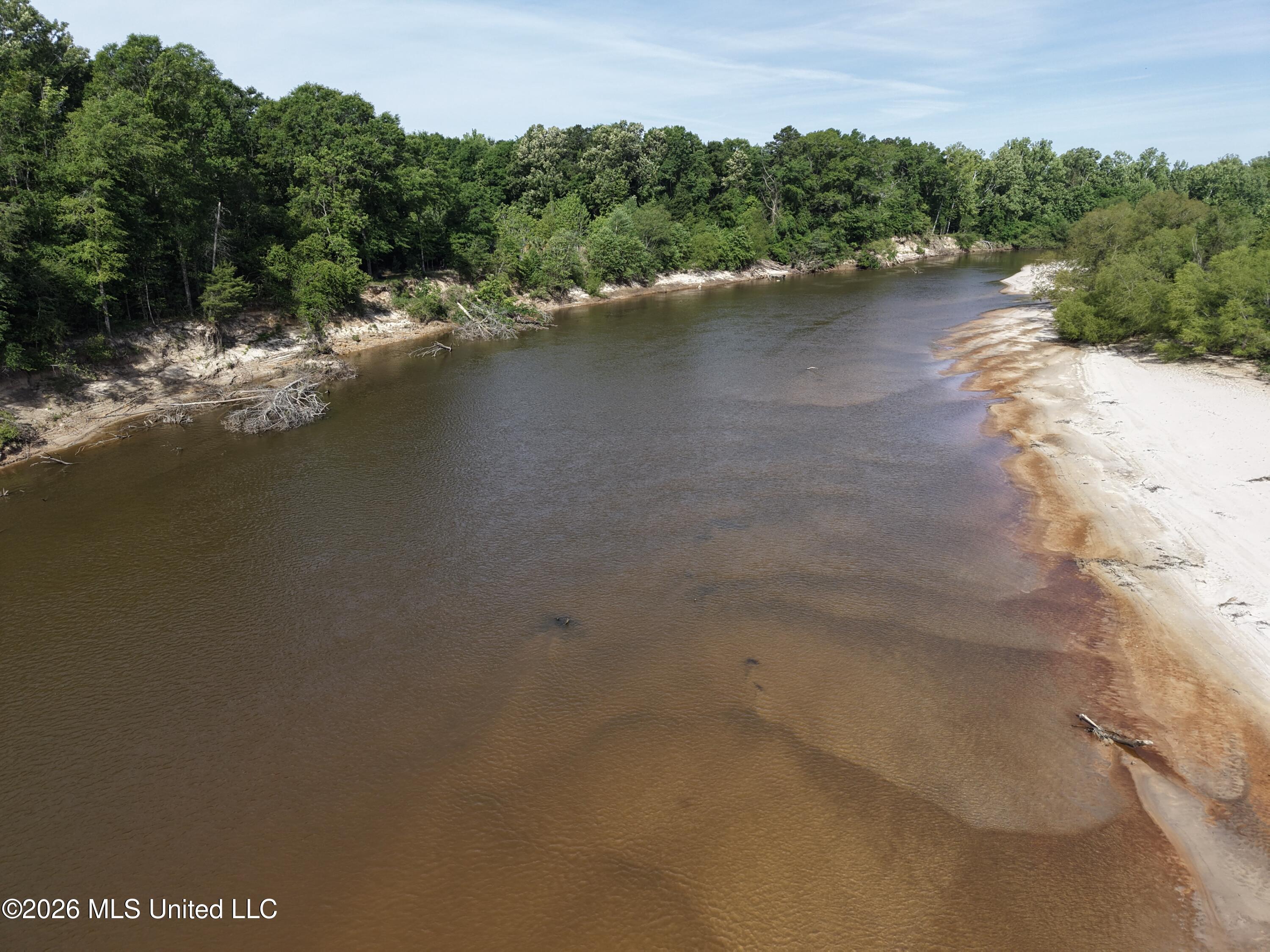 143 Ralph's Drive Leakesville, MS 39451 - Photo 39 of 43 Sandy Bank Across the River