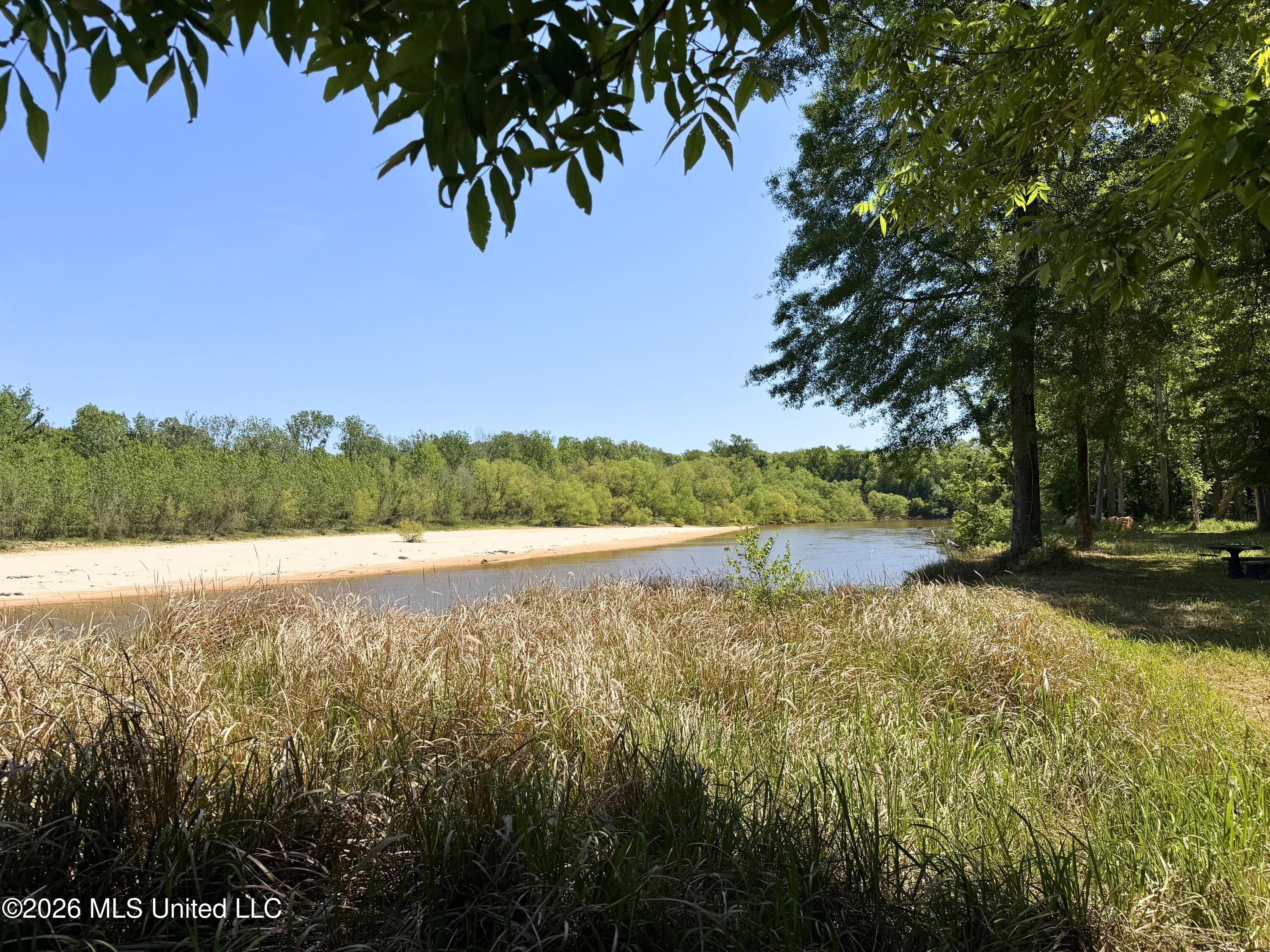 143 Ralph's Drive Leakesville, MS 39451 - Photo 4 of 35 Chickasaway River View - Down River