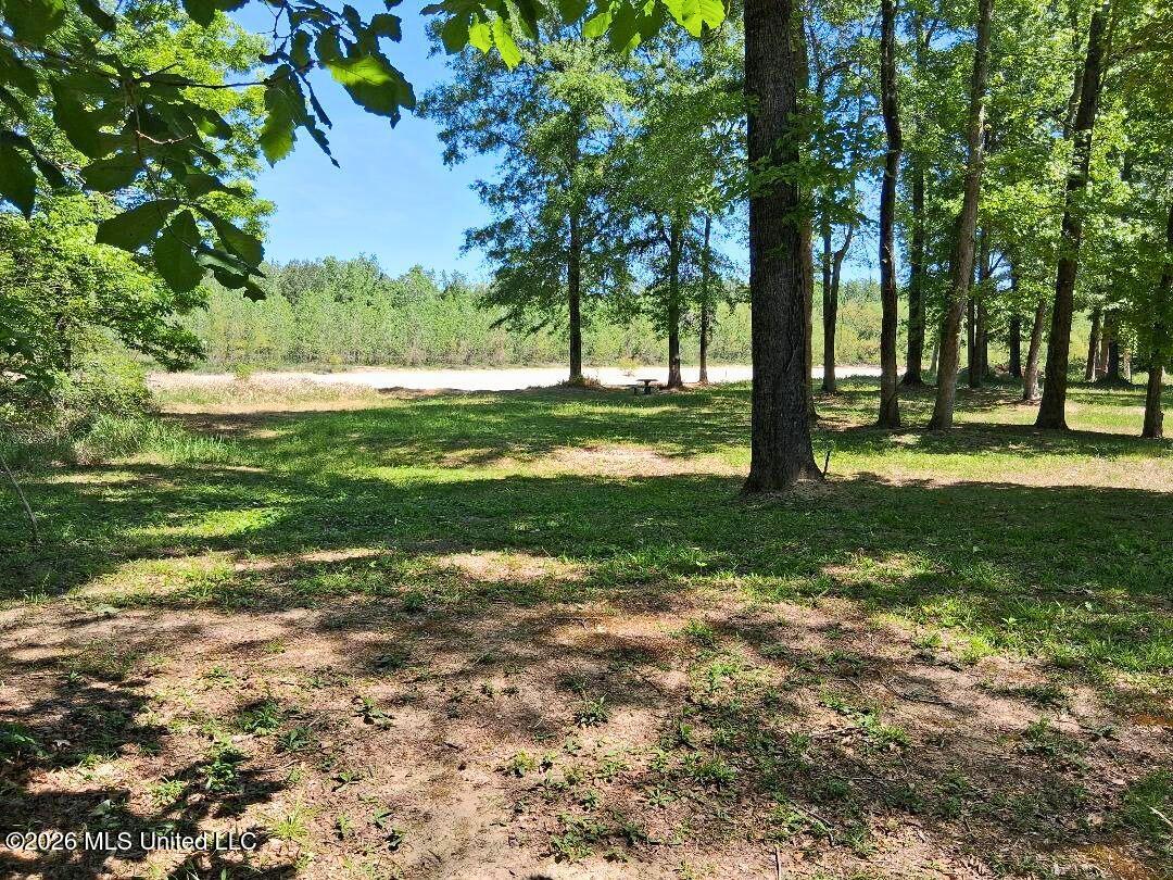 143 Ralph's Drive Leakesville, MS 39451 - Photo 42 of 43 Yard
