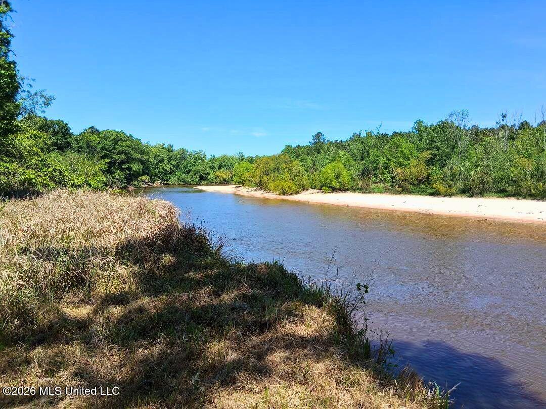 143 Ralph's Drive Leakesville, MS 39451 - Photo 5 of 35 Chickasaway River View - Up River (1)