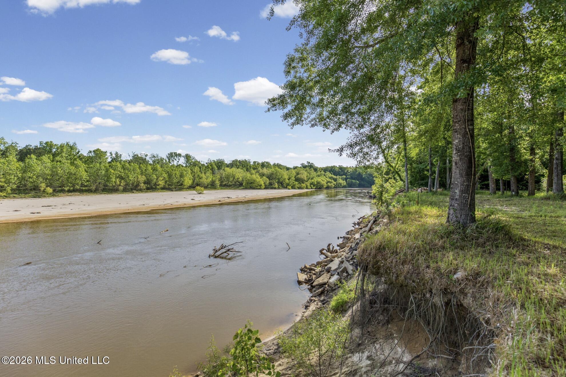 143 Ralph's Drive Leakesville, MS 39451 - Photo 6 of 43 Chickasawhay River