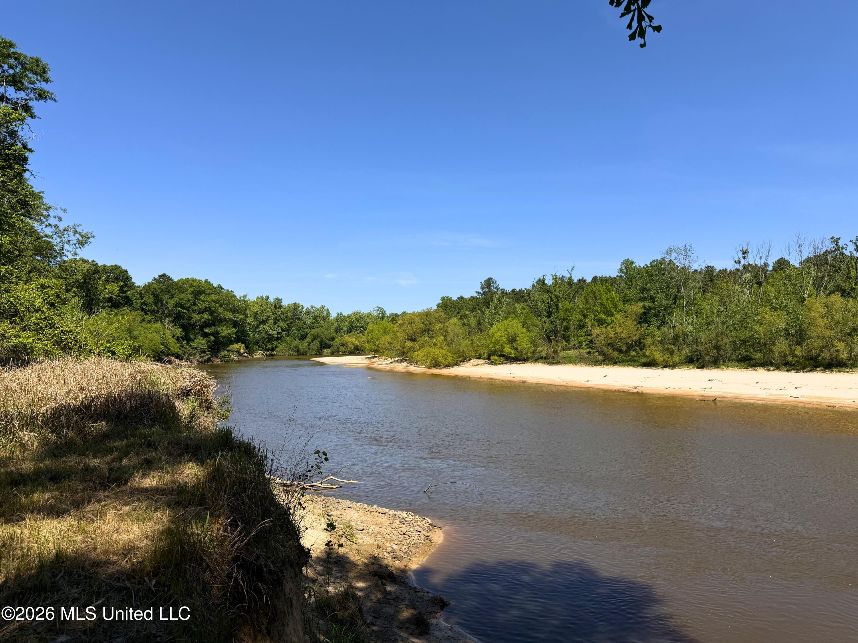 143 Ralph's Drive Leakesville, MS 39451 - Photo 6 of 35 Chickasaway River View - Up River