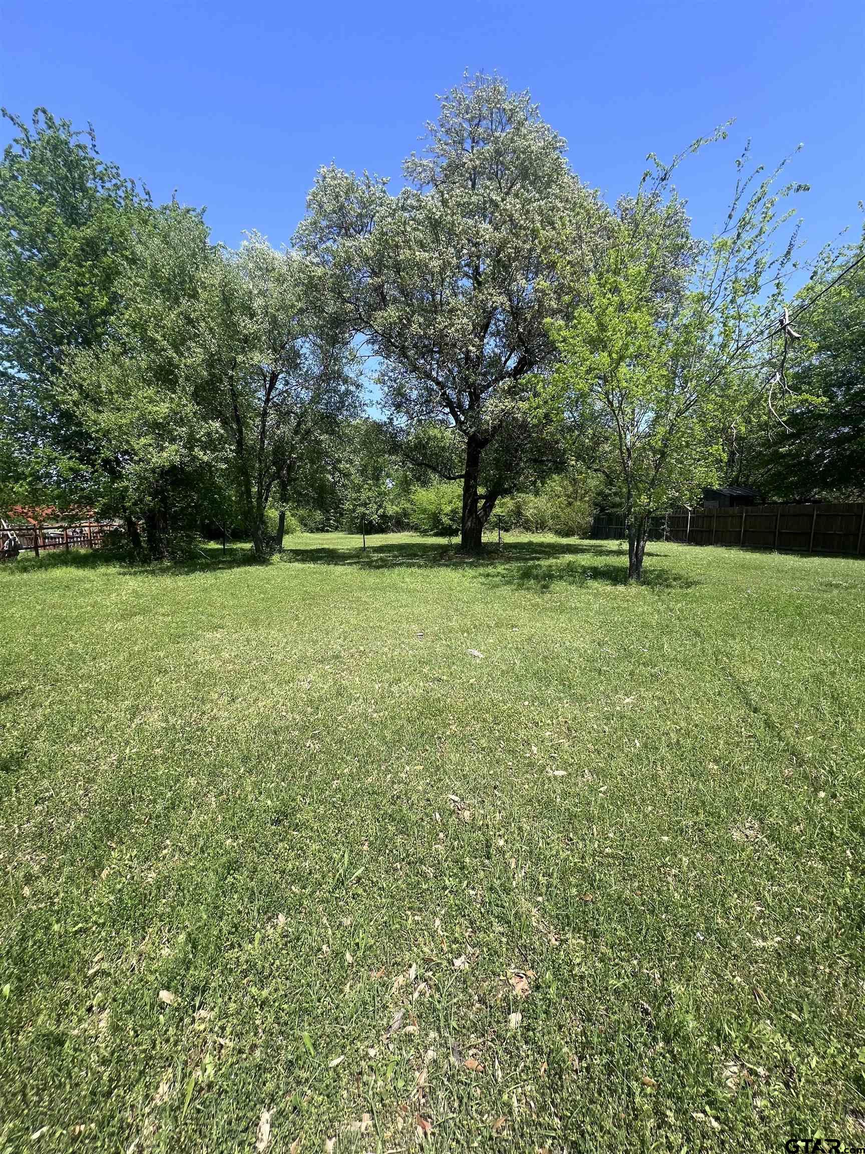 411 Stadium Lane Van, TX 75790 - Photo 2 of 7 a view of a green field with trees in the background