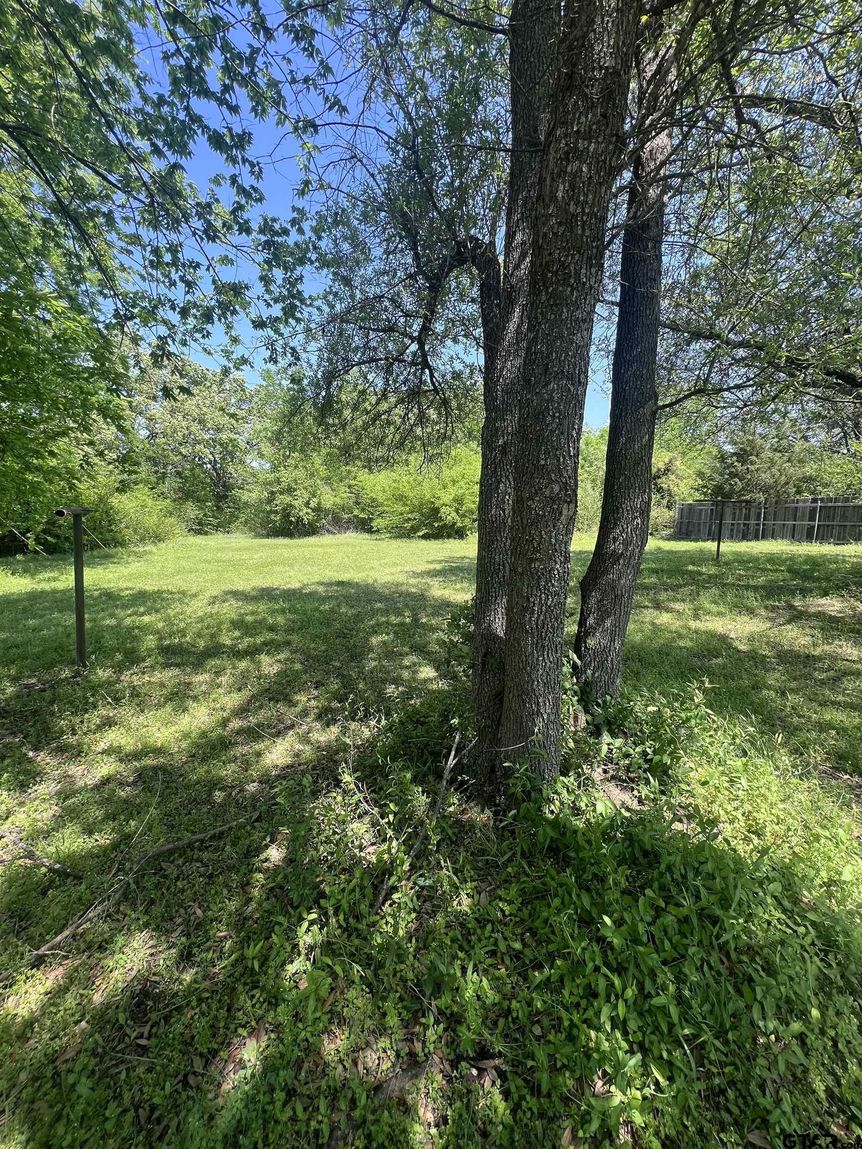 411 Stadium Lane Van, TX 75790 - Photo 3 of 7 a view of outdoor space and yard