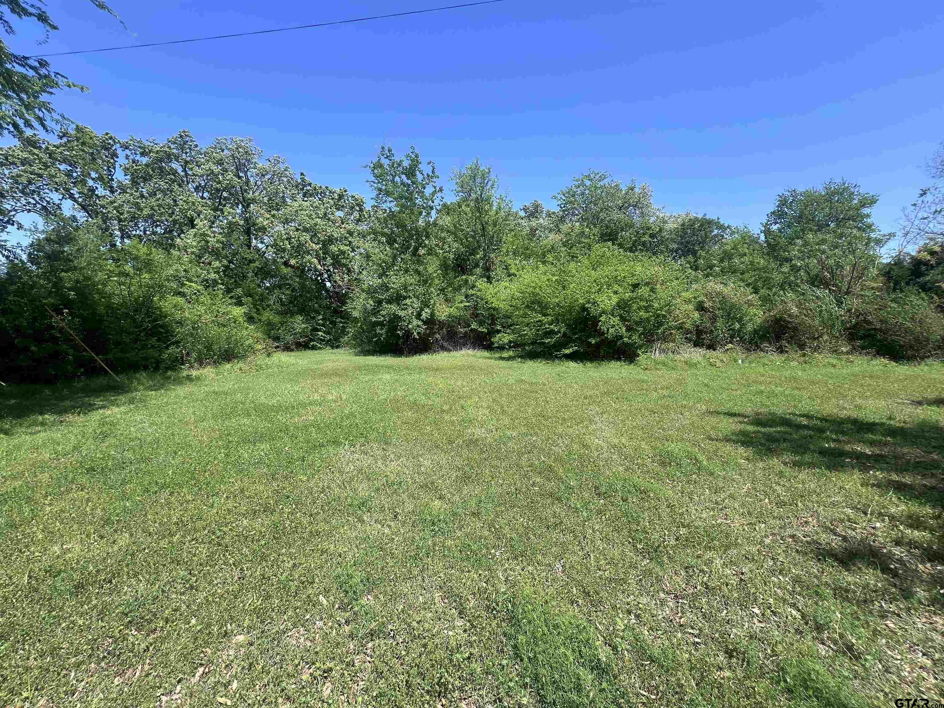 411 Stadium Lane Van, TX 75790 - Photo 4 of 7 a view of a field with trees in the background