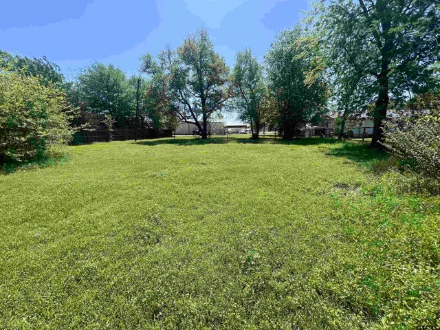 a view of a grassy field with trees