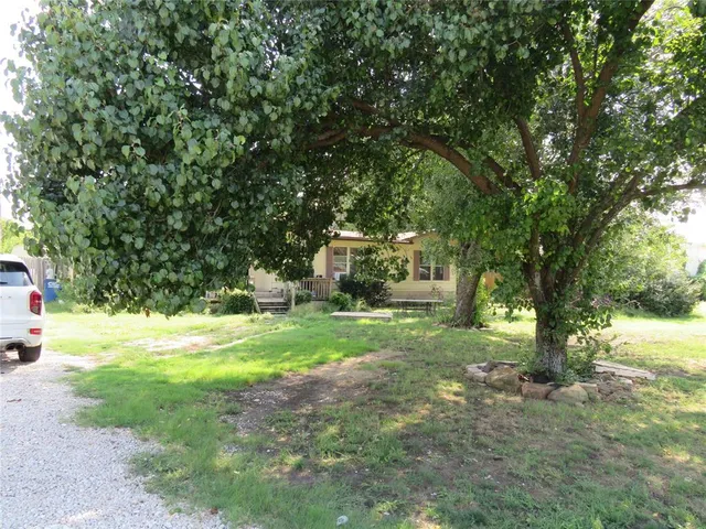 a view of a yard with tree s