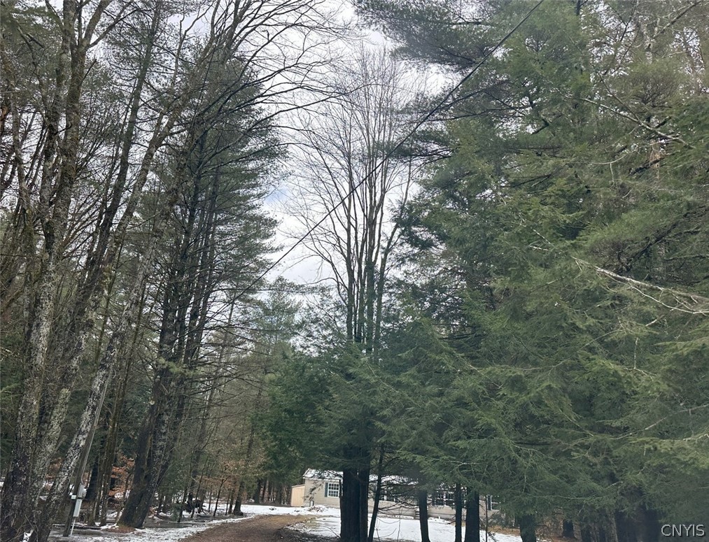 1085 County Rte 17 Constantia, NY 13028 - Photo 2 of 20