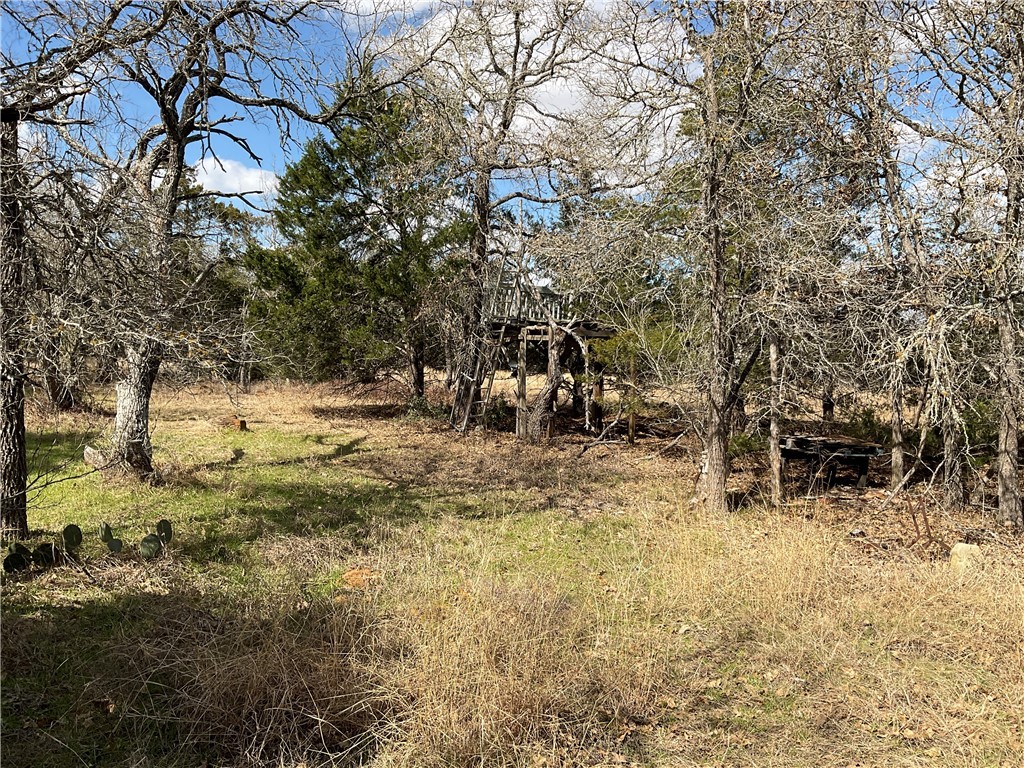 0 Sandy Creek Road Dale, TX 78616 - Photo 1 of 1 Gallery Image 1