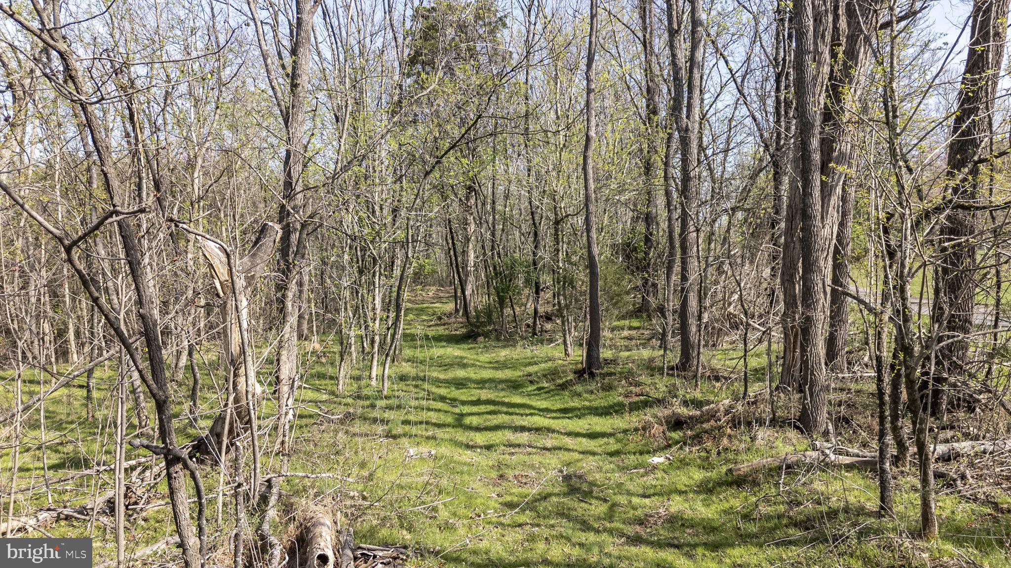 Goggin Ford Road Bedford, VA 24523 - Photo 9 of 20