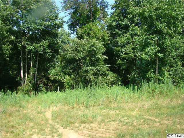 8290 Natural Spring Lane Vale, NC 28168 - Photo 14 of 16 Gallery Image 14