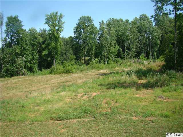 8290 Natural Spring Lane Vale, NC 28168 - Photo 15 of 16 Gallery Image 15