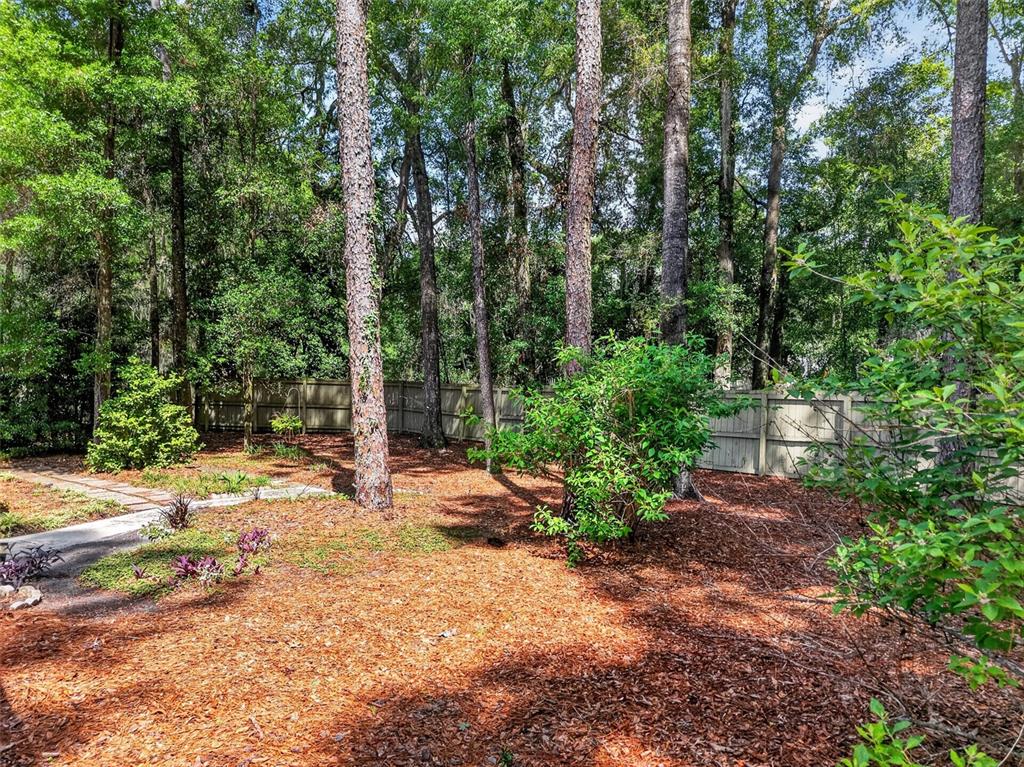 9626 Southwest 53rd Road Gainesville, FL 32608 - Photo 22 of 23 a view of a yard with plants and trees