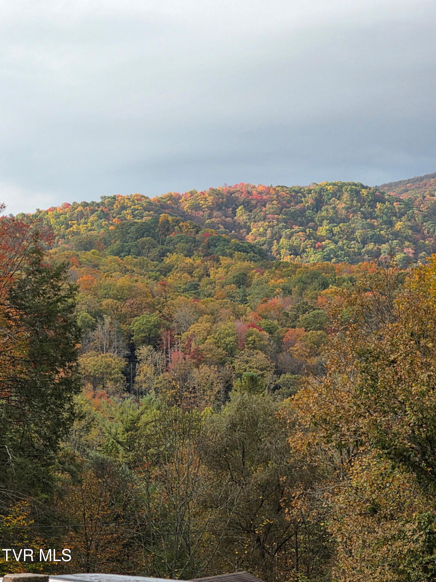 155 Tower Road Roan Mountain, TN 37687 - Photo 23 of 35 E399FC79-4A61-4F3F-962E-2E516E8849BA