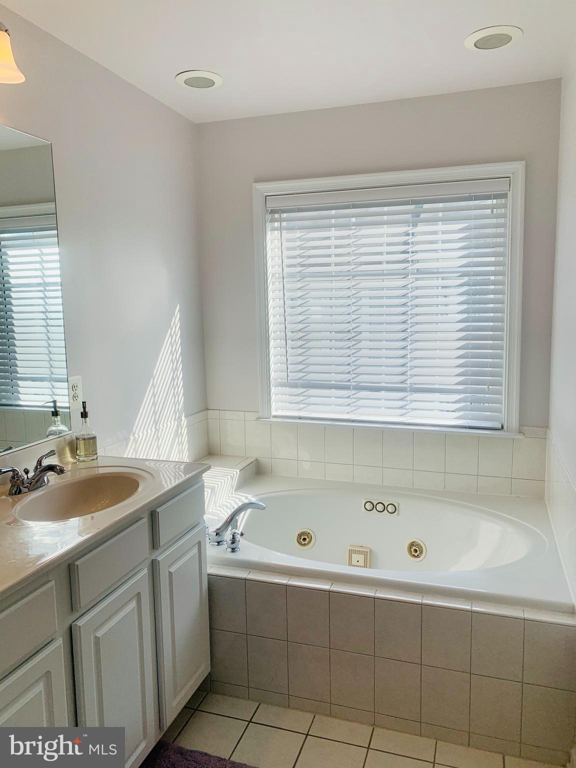 9823 Darcy Forest Drive Silver Spring, MD 20910 - Photo 21 of 32 a bathroom with a sink and a bathtub
