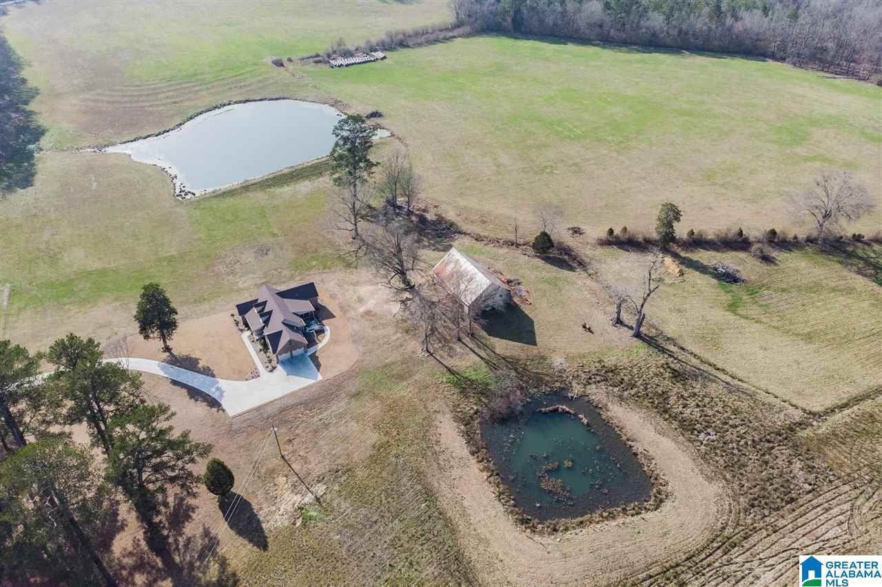 3484 Springville Boulevard Oneonta, AL 35121 - Photo 42 of 49