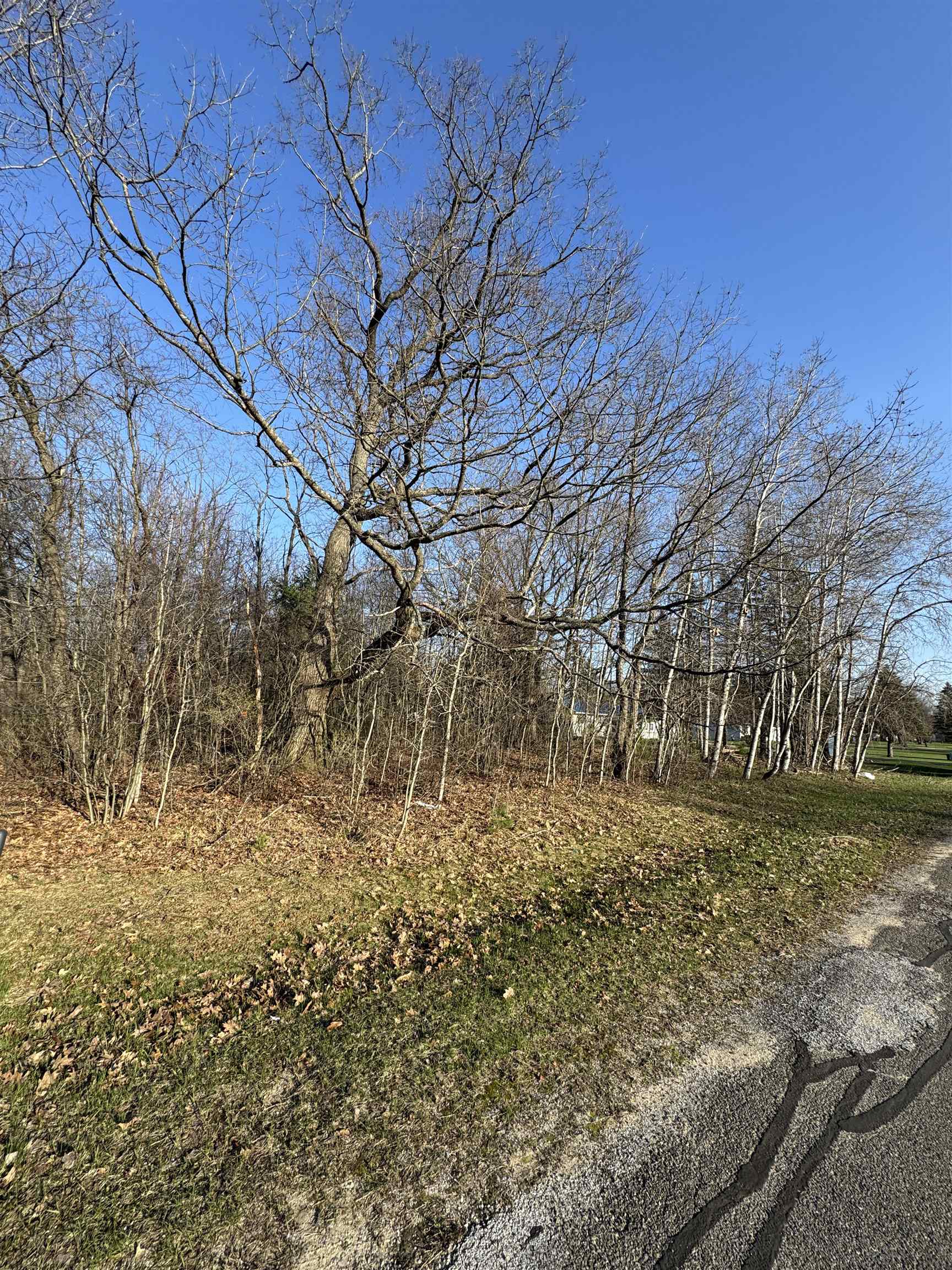 3603 Cecil Road Cadillac, MI 49601 - Photo 2 of 8