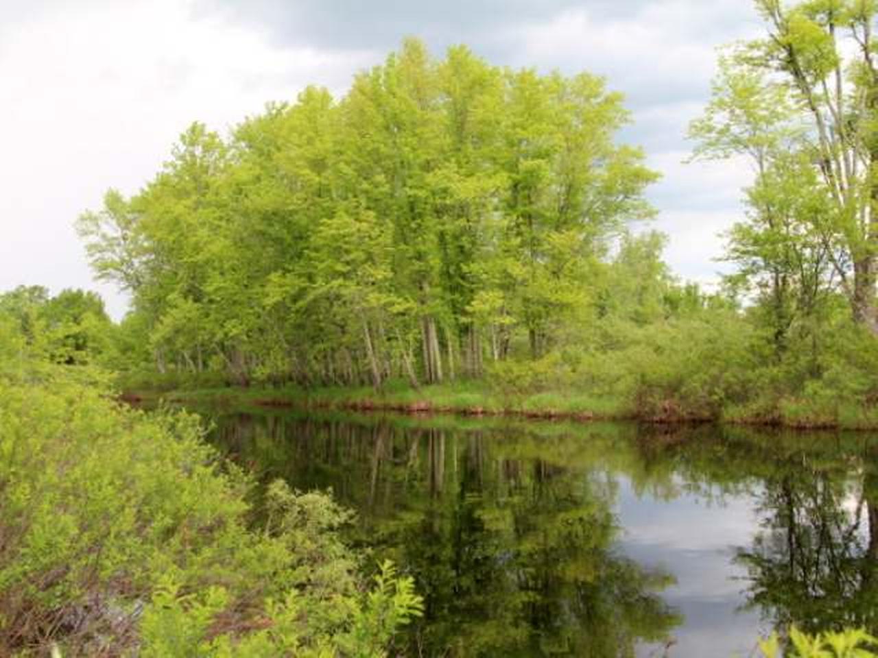 Lot 9 Bert Schmidt Road Glidden, WI 54527 - Photo 7 of 7 Gallery Image 7