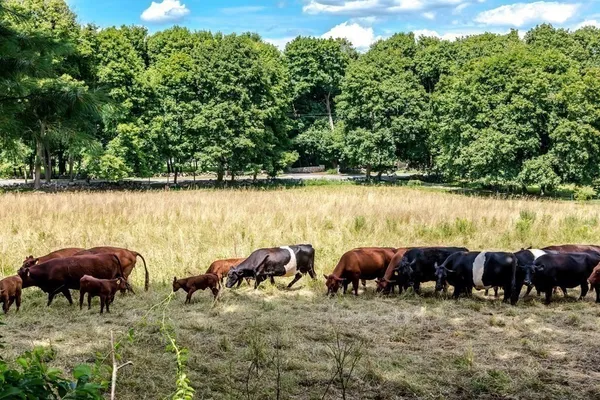 a view of a lake with lawn chairs and swimming pool