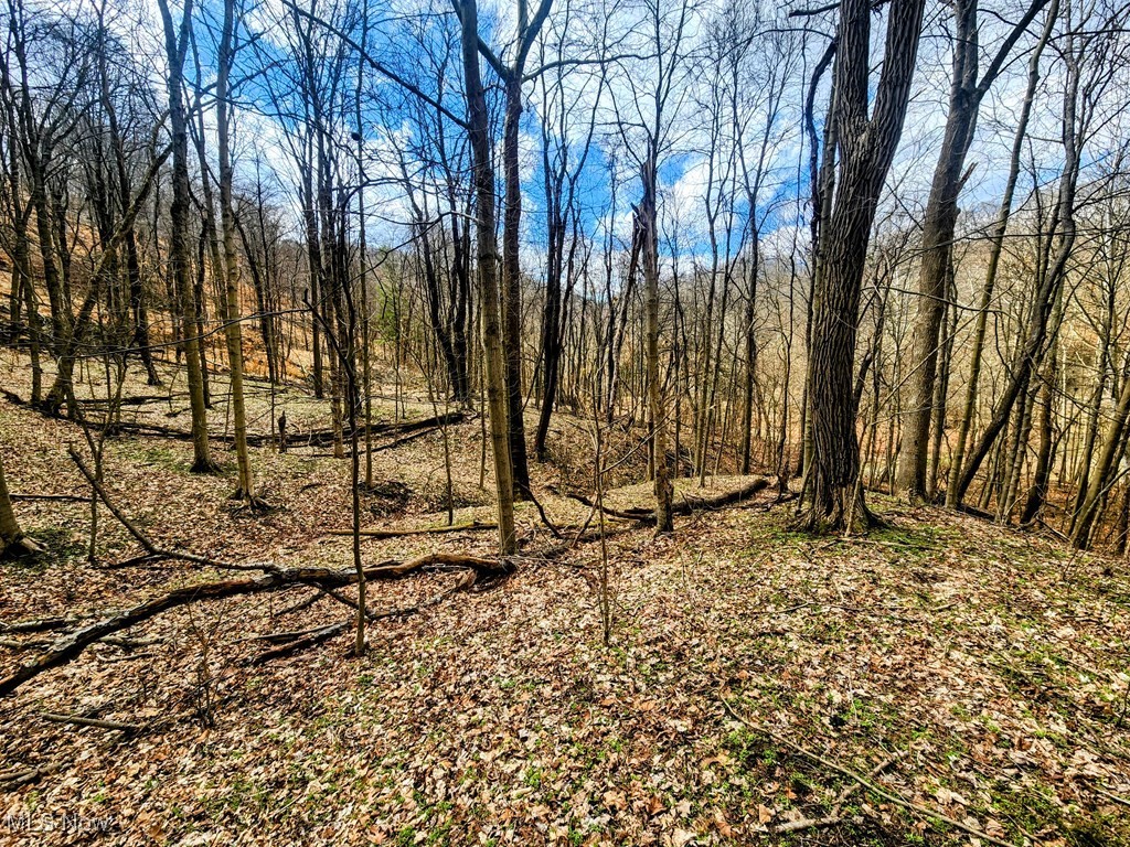Kings Creek Road New Cumberland, WV 26047 - Photo 15 of 18