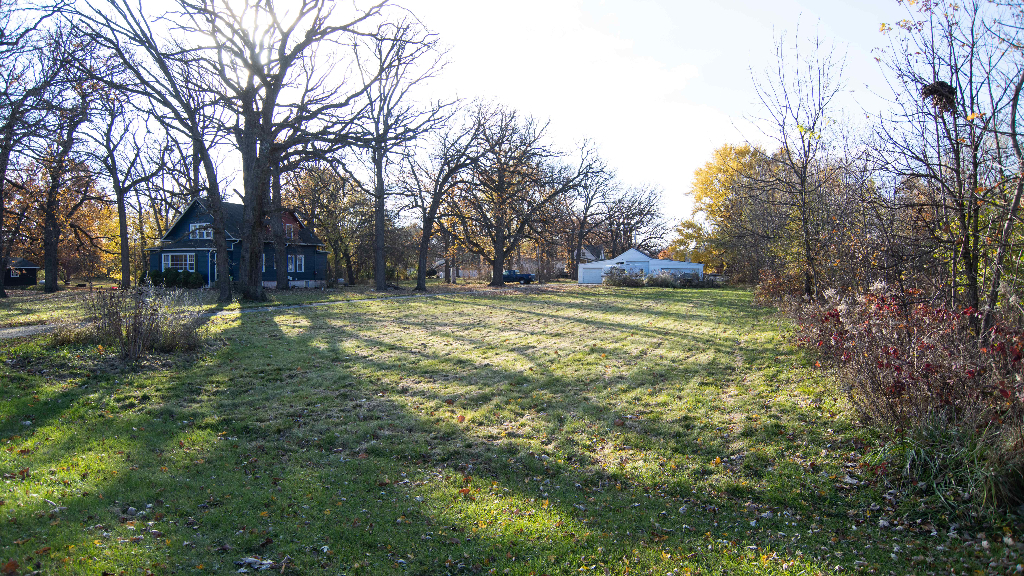 18602 Chicago Avenue Lansing, IL 60438 - Photo 13 of 22 a view of a yard with a tree