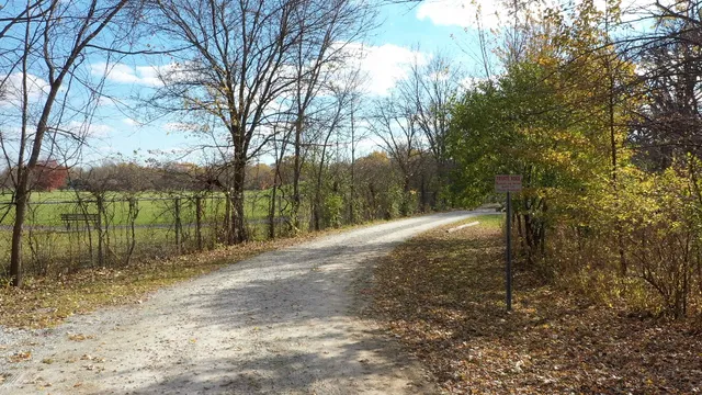 a view of a forest filled with trees